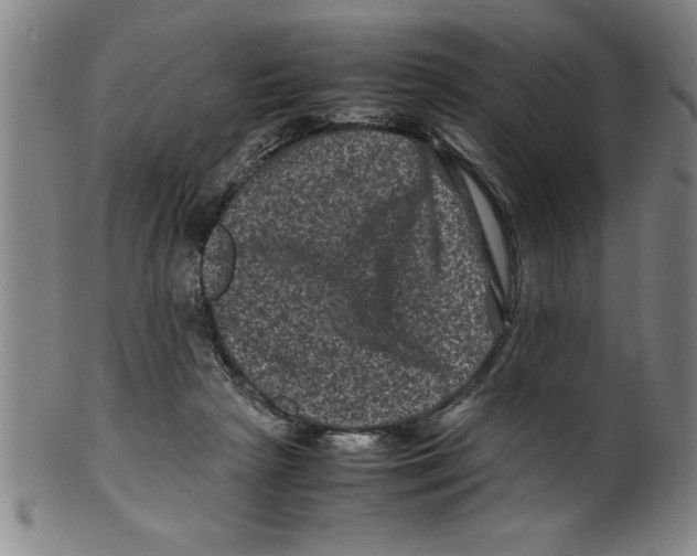 X0000099470265200806061227