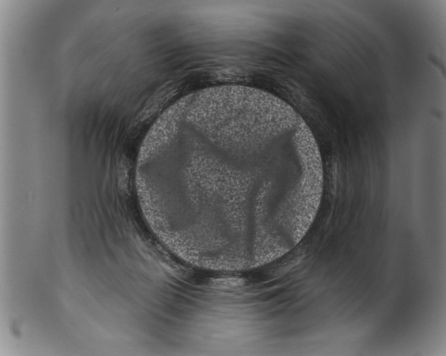 X0000099470266200806061227