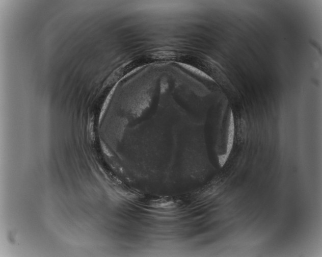 X0000099470267200806061227