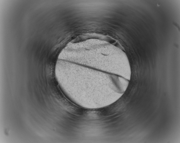 X0000099470268200806061227