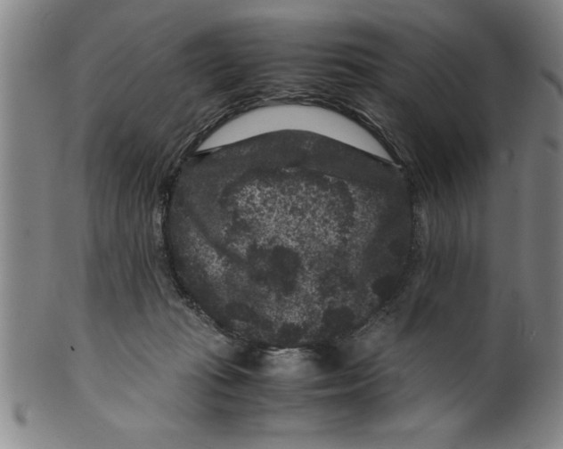 X0000099470269200806061227