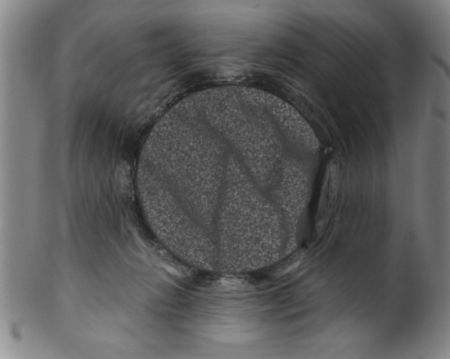 X0000099470270200806061227