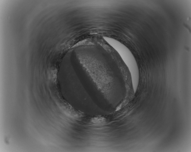 X0000099470271200806061227