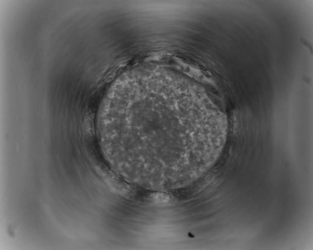 X0000099470272200806061227