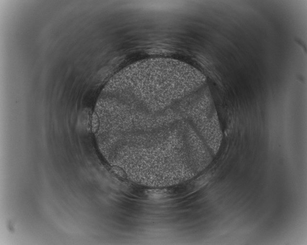 X0000099470273200806061227