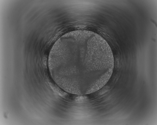 X0000099470274200806061227