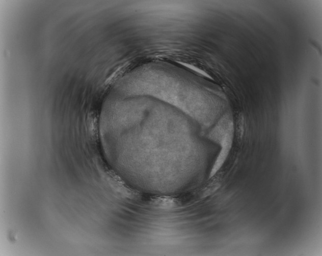 X0000099470276200806061227