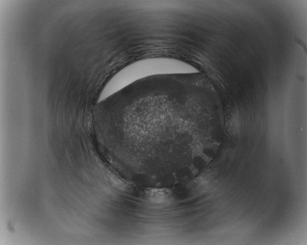 X0000099470277200806061227