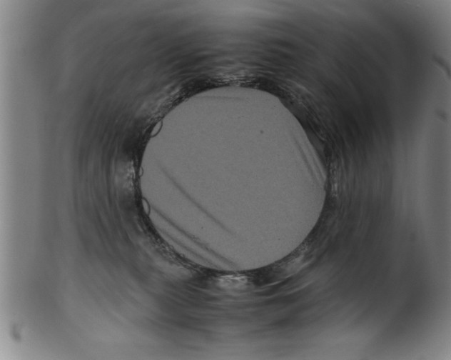 X0000099470279200806061227