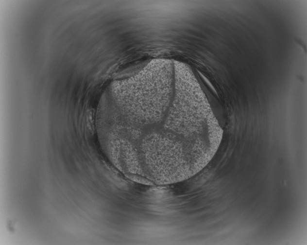 X0000099470280200806061227