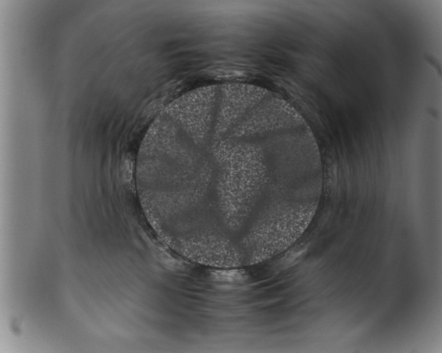 X0000099470281200806061227