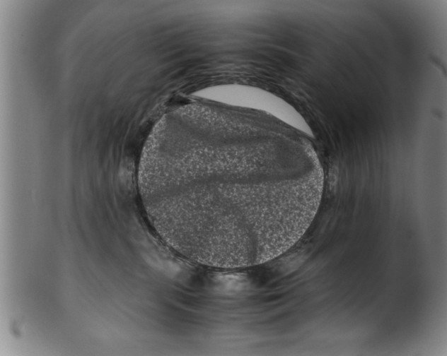 X0000099470283200806061227