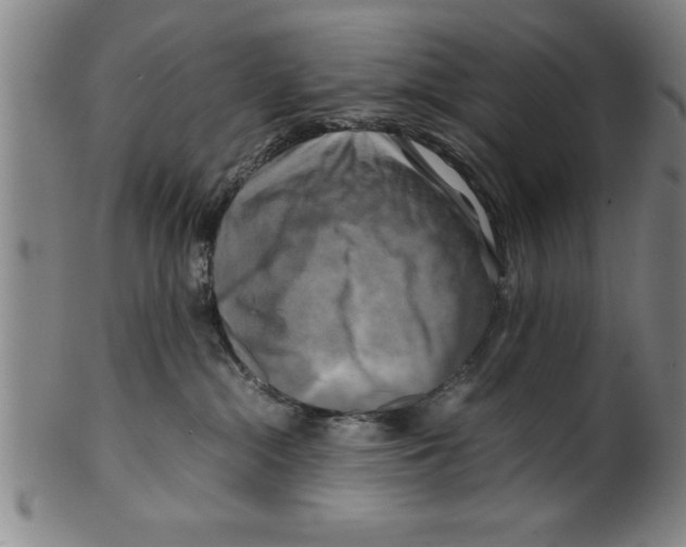 X0000099470284200806061227