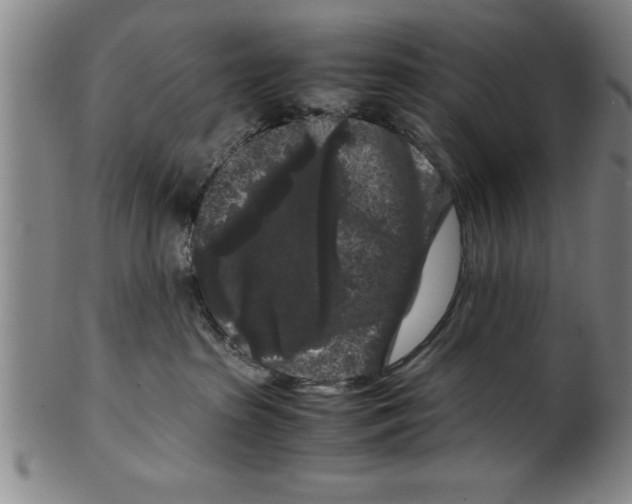 X0000099470285200806061227