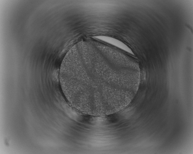 X0000099470286200806061227