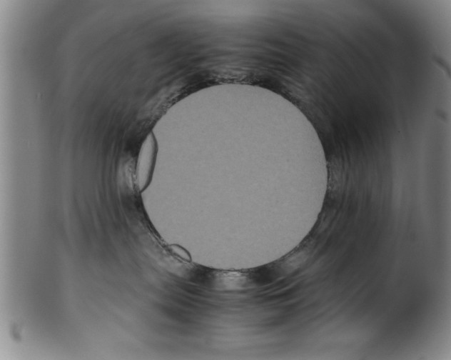 X0000099470287200806061227