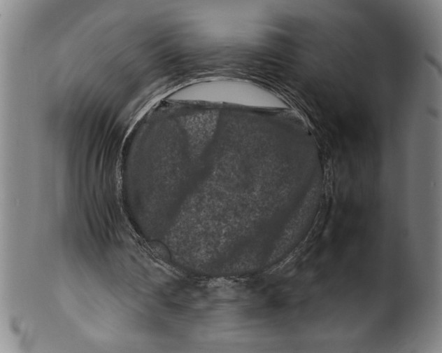 X0000099470290200806061226