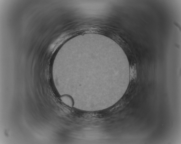 X0000099470291200806061226