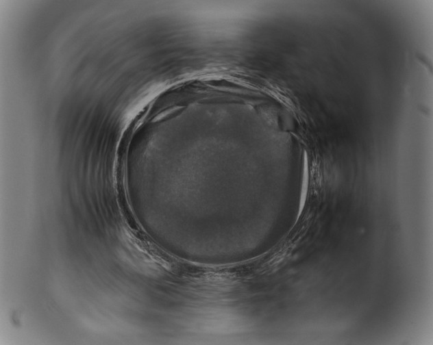 X0000099470292200806061226