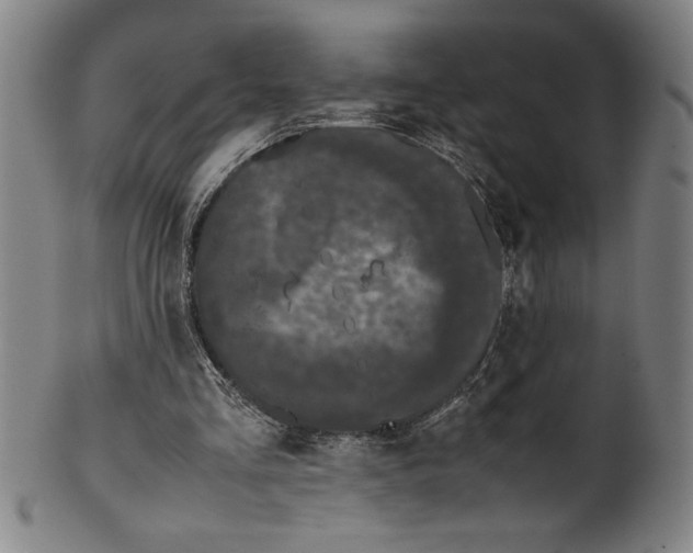 X0000099470293200806061226