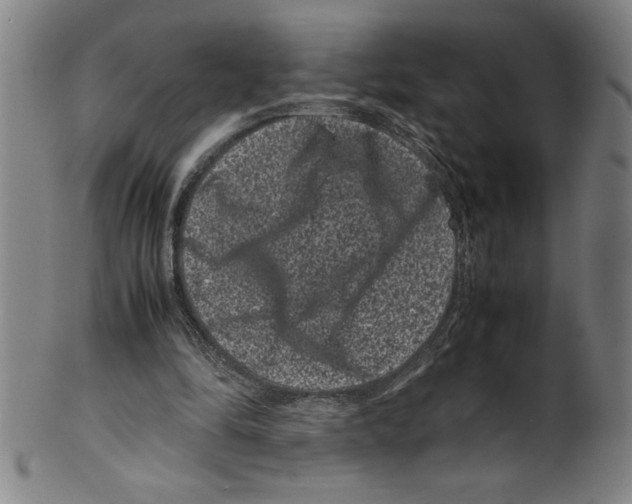 X0000099470294200806061226