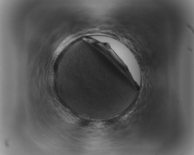 X0000099470295200806061226