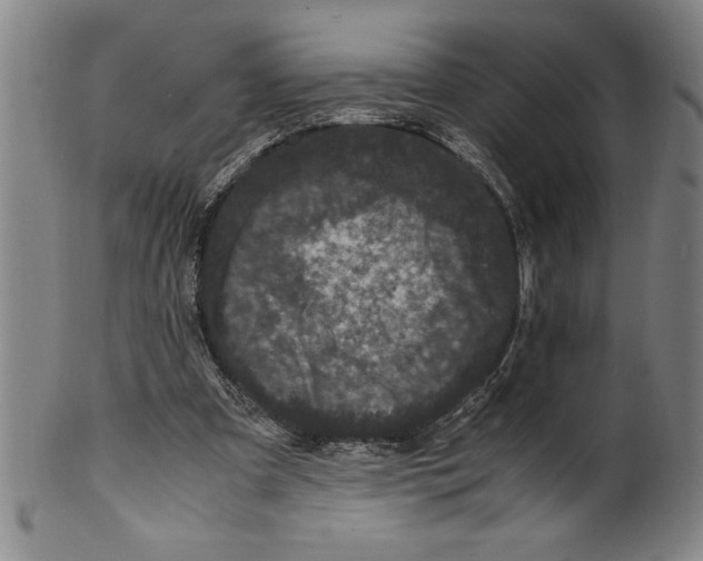 X0000099470297200806061226