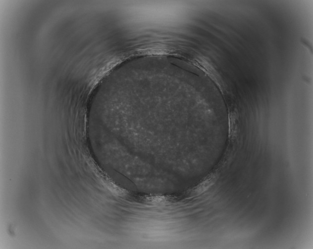 X0000099470301200806061226