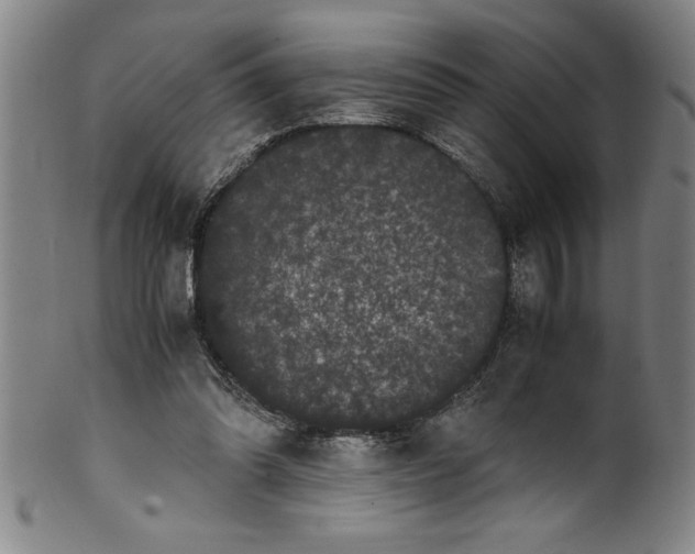 X0000099470302200806061226