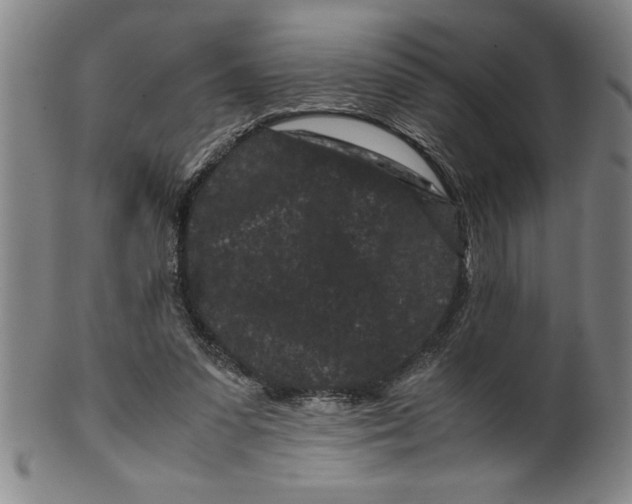 X0000099470303200806061226