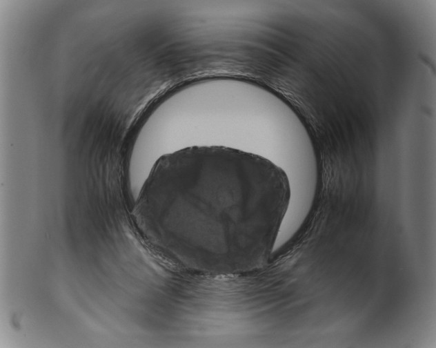 X0000099470304200806061226