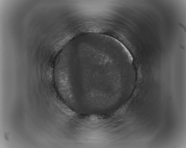 X0000099470305200806061226