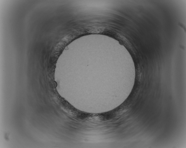 X0000099470307200806061226