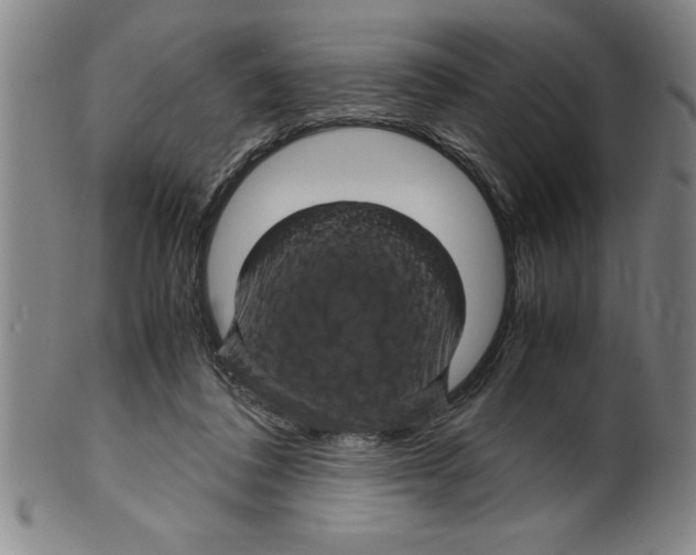 X0000099470308200806061226