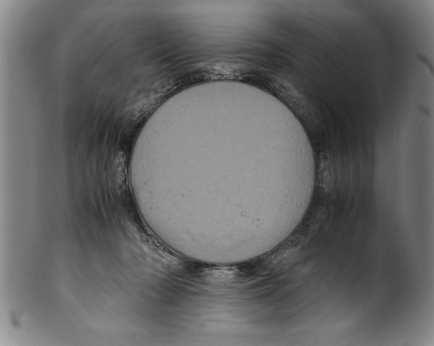 X0000099470318200806061226