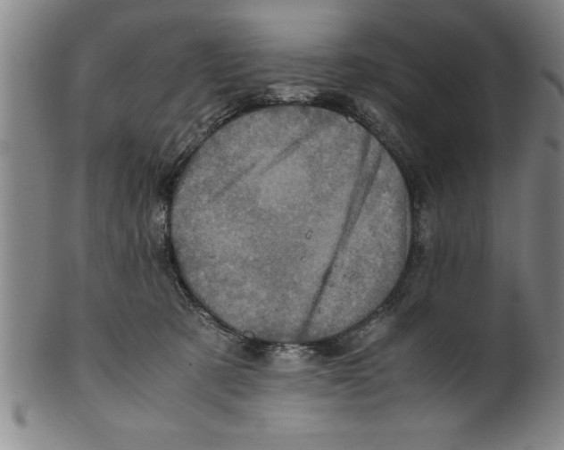 X0000099470321200806061226