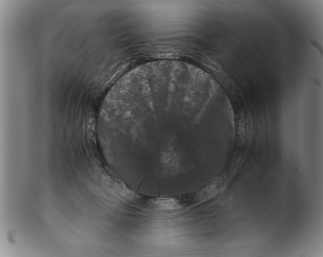 X0000099470322200806061226