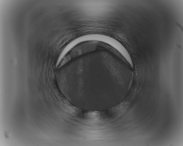 X0000099470325200806061226