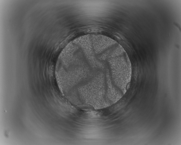 X0000099470326200806061226