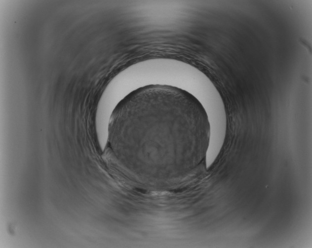 X0000099470327200806061226