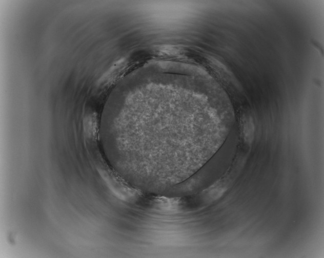 X0000099470328200806061226