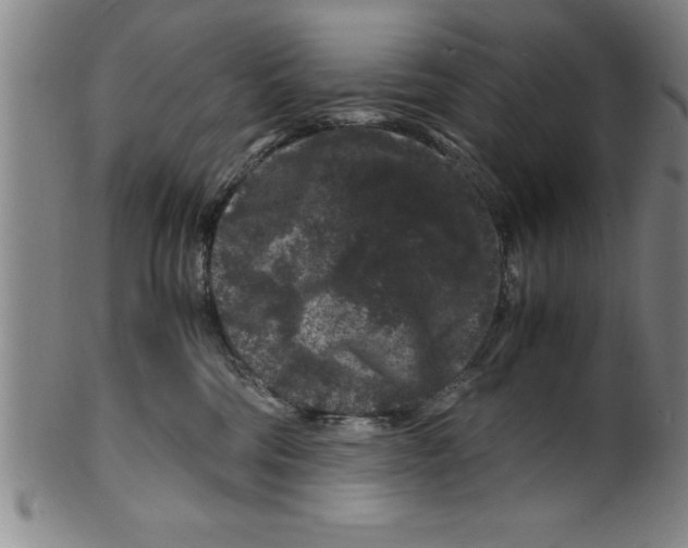 X0000099470330200806061226