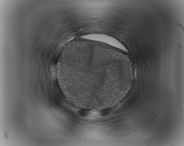 X0000099470335200806061226