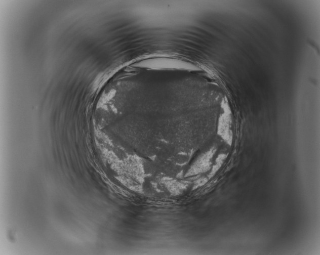 X0000099470337200806061225