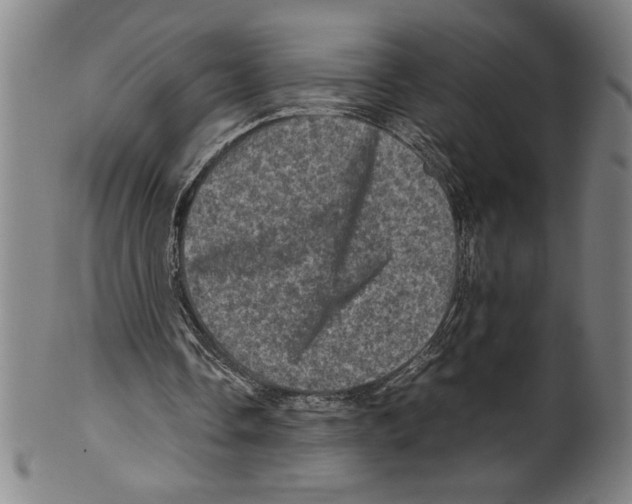 X0000099470338200806061225