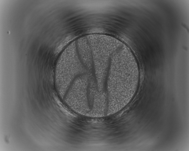 X0000099470345200806061225