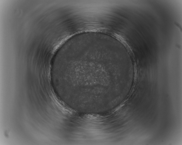 X0000099470346200806061225