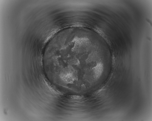 X0000099470347200806061225