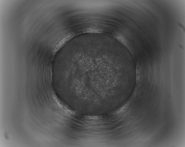 X0000099470349200806061225