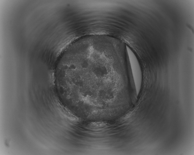 X0000099470351200806061225